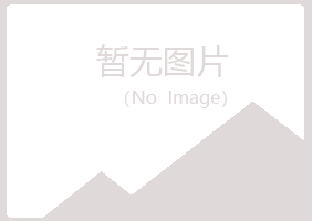 防城港山柏电讯有限公司